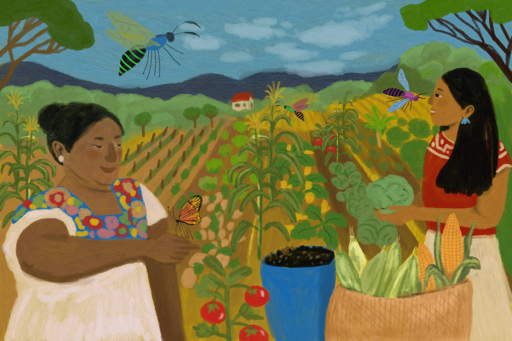 Illustration